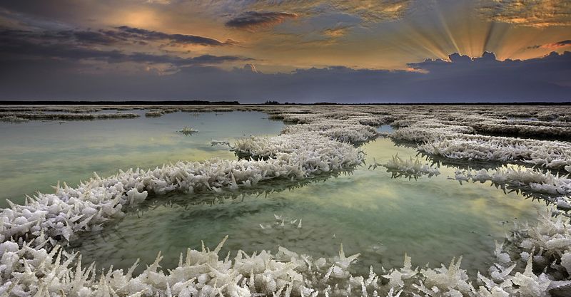 Файл:Kedma 3.jpg