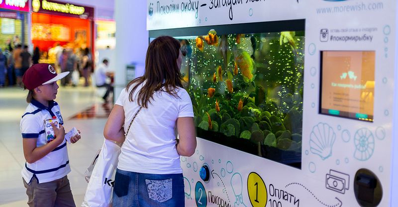 Файл:Море Желаний 3.jpg