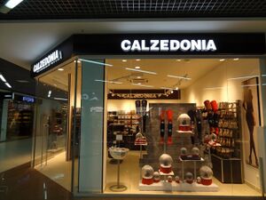 Calzedonia 5.jpg