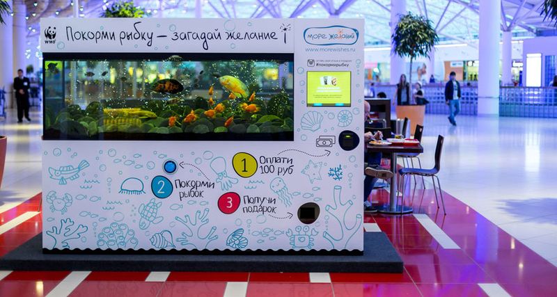 Файл:Море Желаний 2.jpg