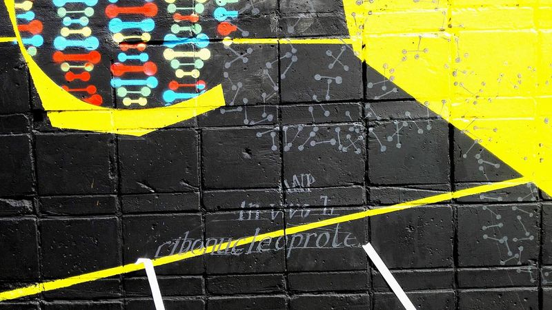 Файл:Редактирование генома 3.jpg