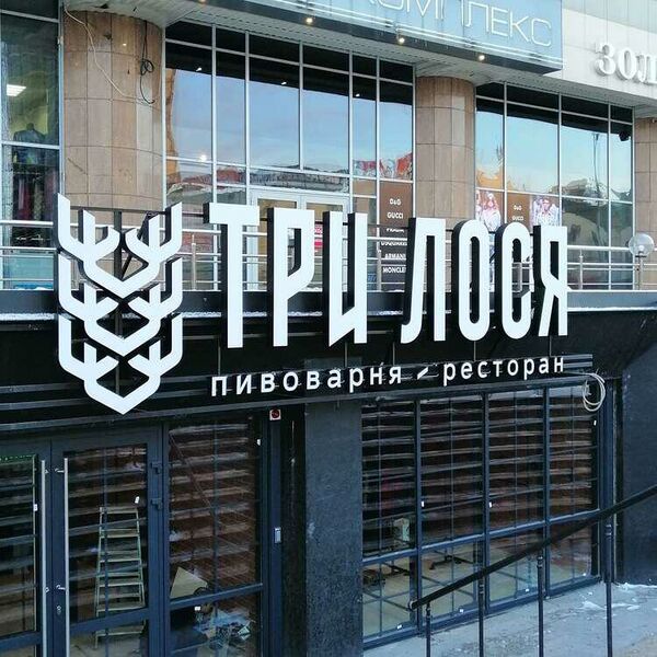 Файл:ТРИ ЛОСЯ.jpg