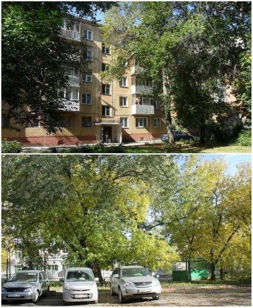 Файл:Новогодняя 32-1.jpg