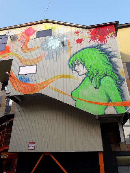 Файл:На Метромаркете (девушка в зеленом).jpg