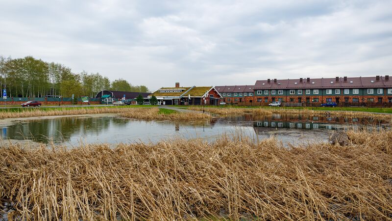 Файл:Пригородный простор (5).jpg