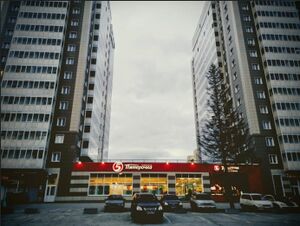 Кирова 225 (1).jpg