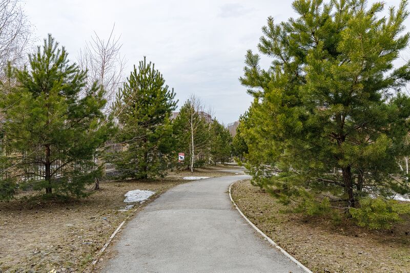 Файл:Лескова 19 (4).jpg