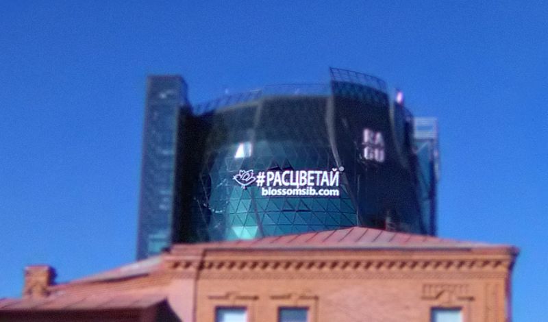 Файл:Расцветай 4 (Сибирский неон).jpg