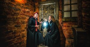 Ловушка 7.jpg