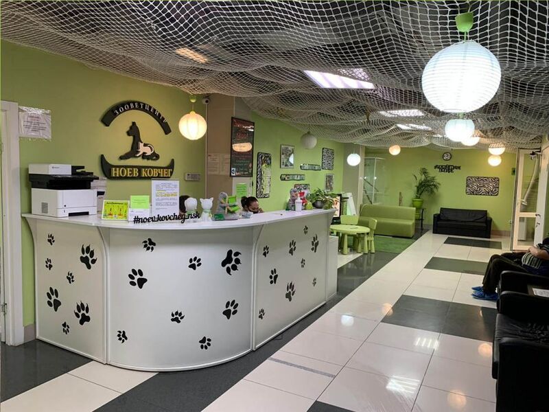 Файл:Ноев ковчег.jpg