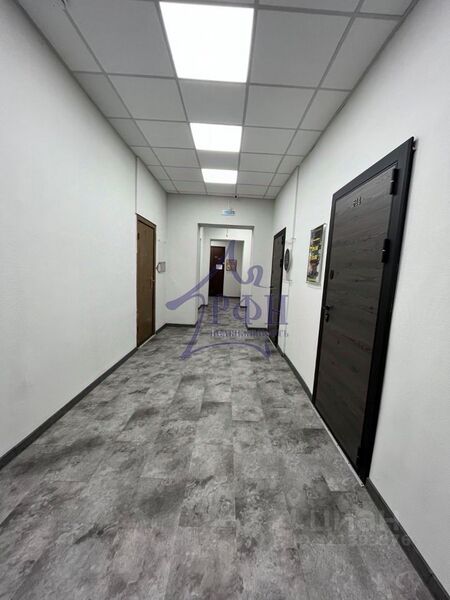 Файл:115139215 2.jpg