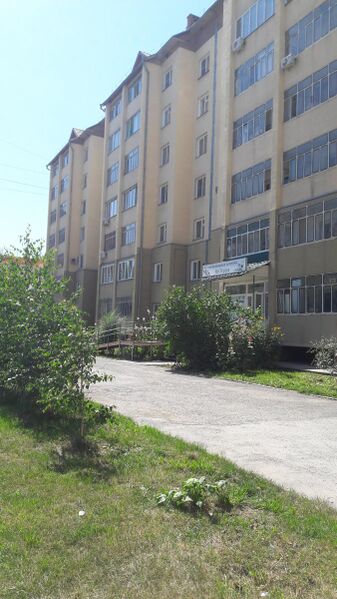 Файл:Новосибирская 12.jpg