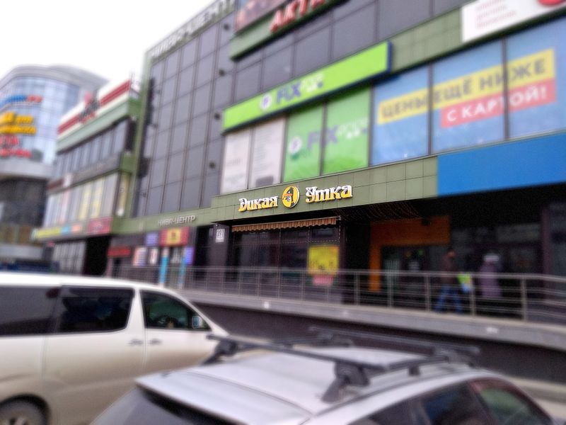 Файл:Дикая Утка (2) (Сибирский неон).jpg