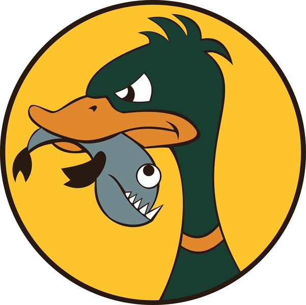 Файл:Дикая Утка.jpg