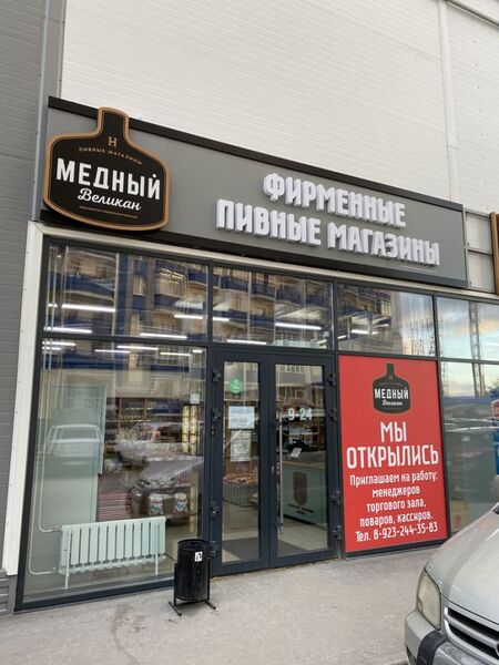 Файл:Медный Великан Одоевского 1-12.jpg