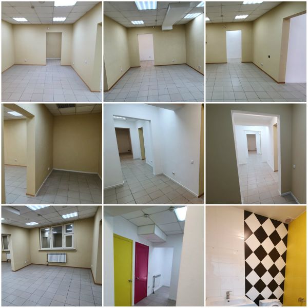 Файл:31031398 1.jpg