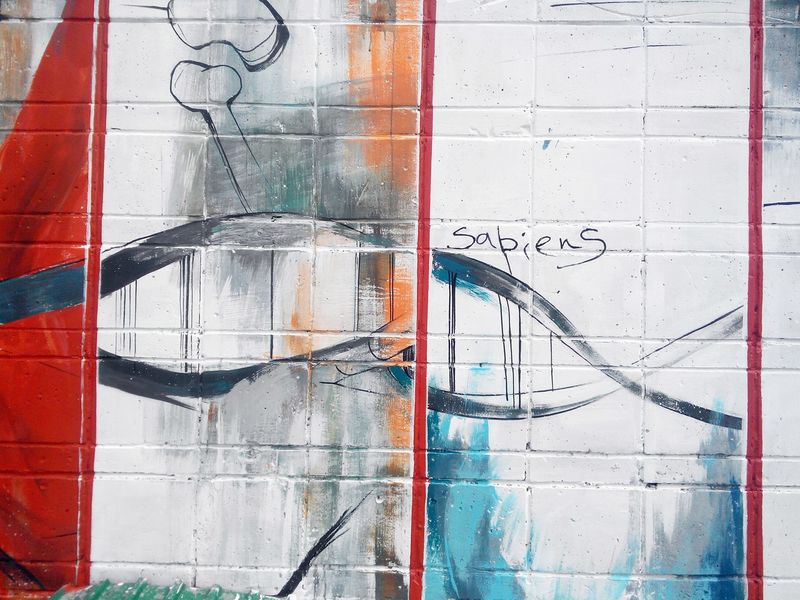 Файл:Денисовский человек 2.jpg