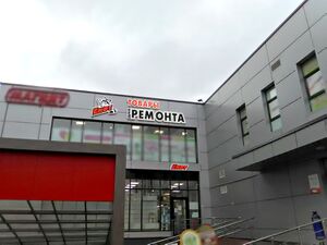 Енот 2 (Сибирский неон).jpg