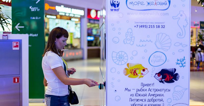 Файл:Море Желаний 4.jpg