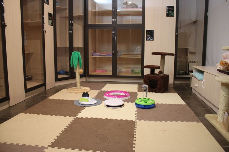 Файл:Мяус 3.jpg