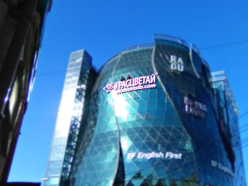 Файл:Расцветай 3 (Сибирский неон).jpg