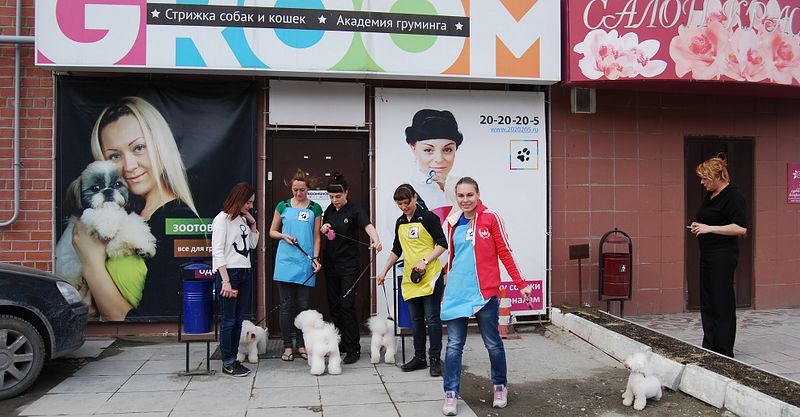 Файл:Groom 3.jpg