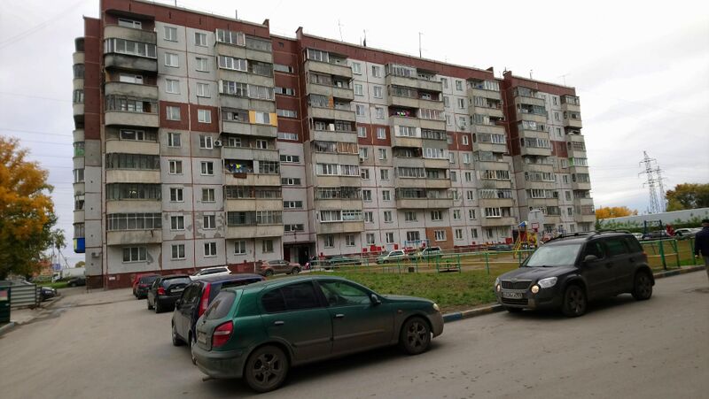 Файл:Палласа 3.jpg