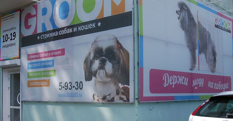 Файл:Groom 9.jpg