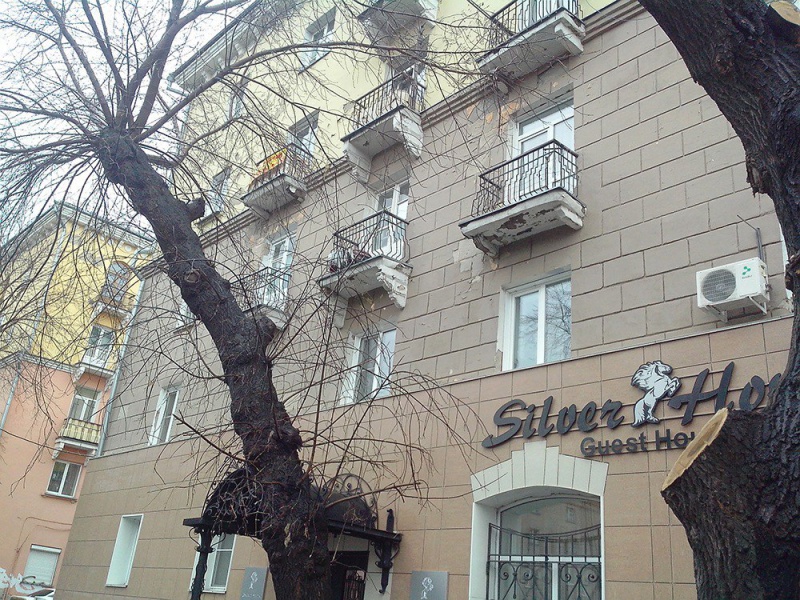 Файл:Владимировская 4 (2).jpg