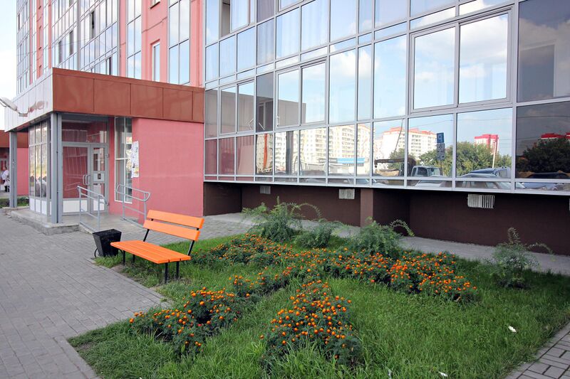 Файл:Петухова 160 (2).jpg