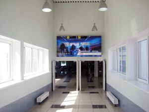 Толмачёво 9 (Сибирский неон).jpg