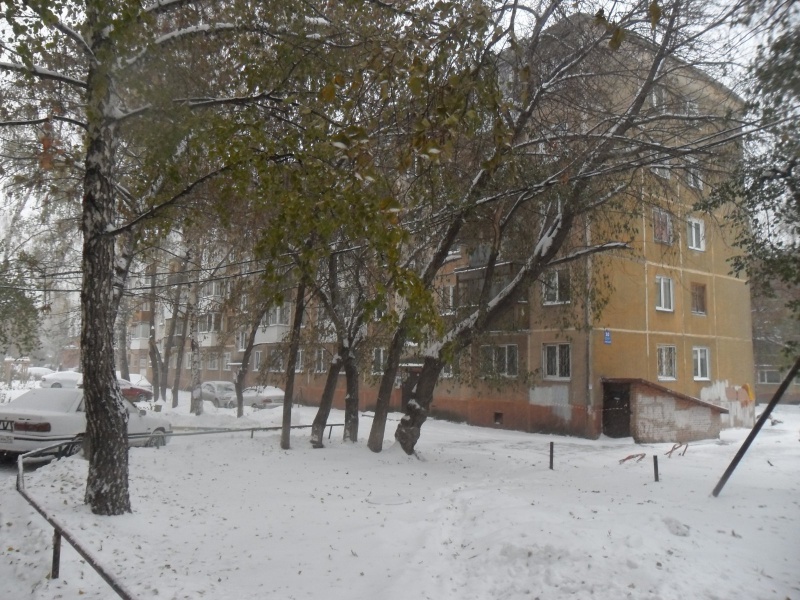 Файл:Новогодняя 10.jpg