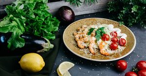 Моккано 1.jpg