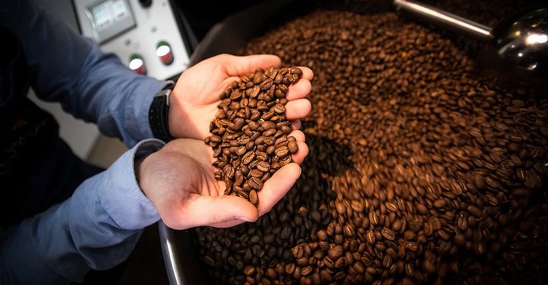 Файл:Бодрый День 27.jpg