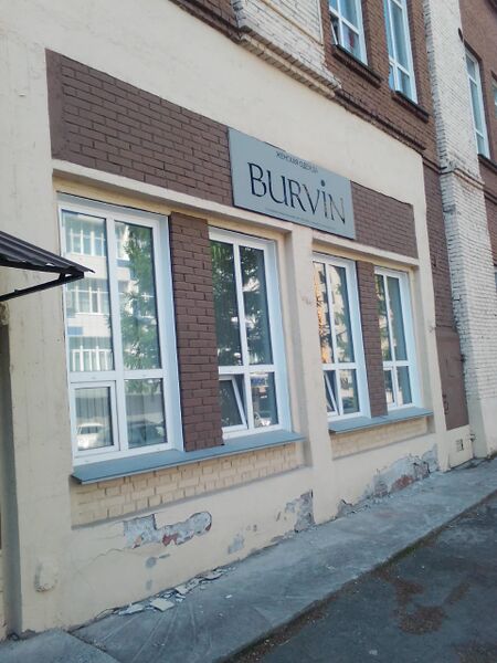 Файл:Красный проспект 220-5 (Burvin).jpg