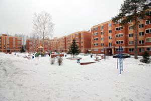 Стрижи микрорайон 4 (2).jpg