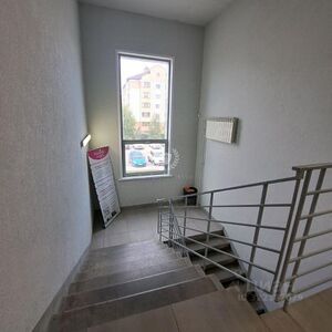 Фламинго 15 7.jpg