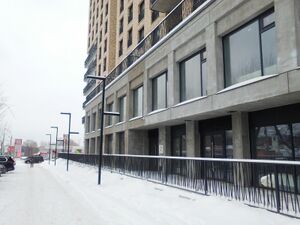 Большевистская 88 (3).jpg