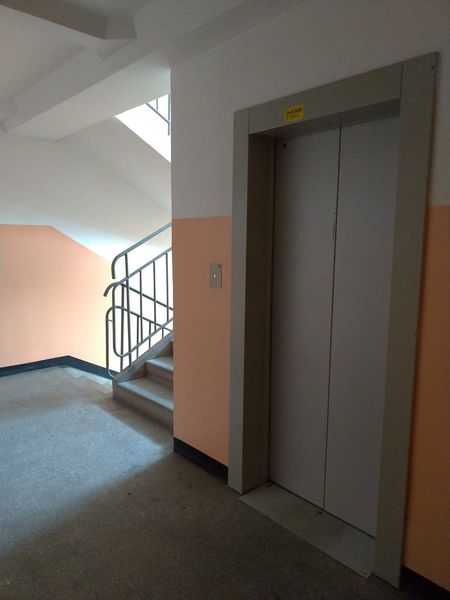 Файл:Петухова 14-8 (1).jpeg