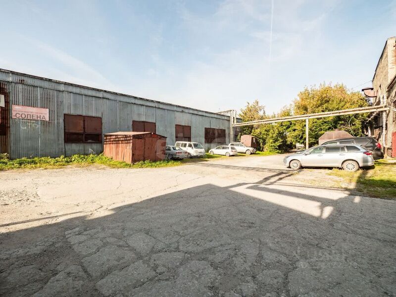 Файл:116474526 2.jpg