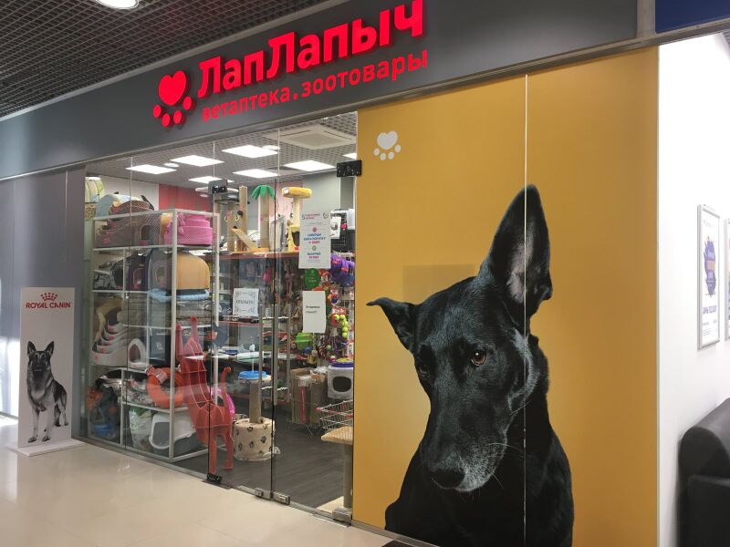 Файл:Сан Сити Лап Лапыч.jpg