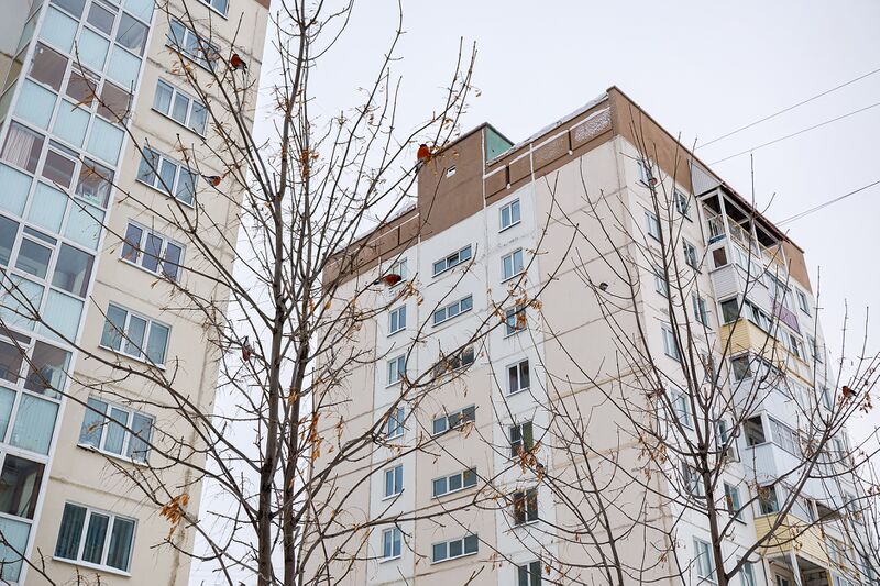 Файл:Татьяны Снежиной 45-5.jpg