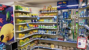 Бетховен 11.jpg