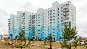 Татьяны Снежиной 21 (1).jpg