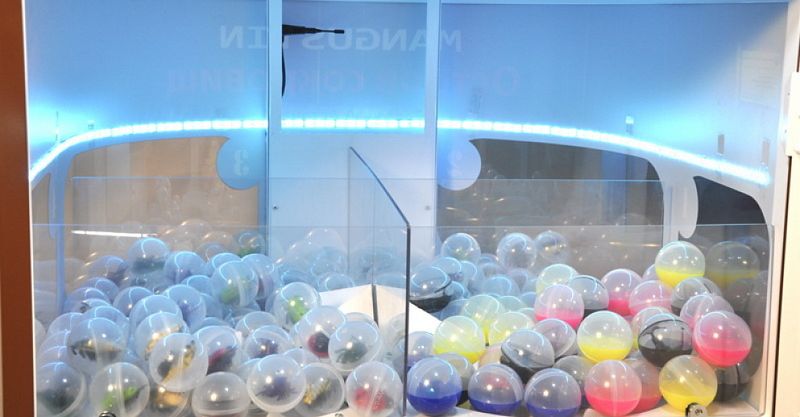 Файл:Мангустин 6.jpg