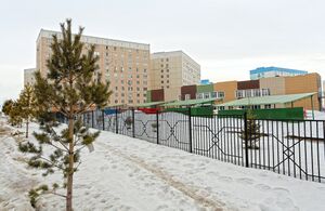 Татьяны Снежиной 43-1 (3).jpg