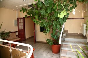 Стасова 71-2 (2).jpg