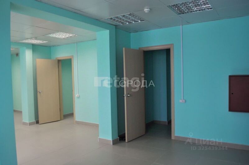 Файл:116477575 2.jpg