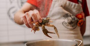 Раковарня Ивана Раковара 2.jpg