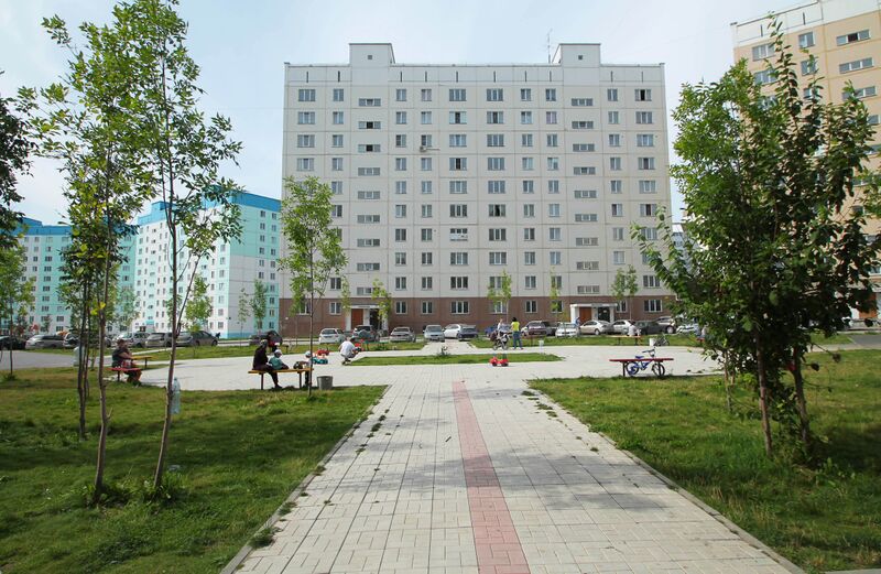 Файл:Татьяны Снежиной 43-1 (лето 2).jpg